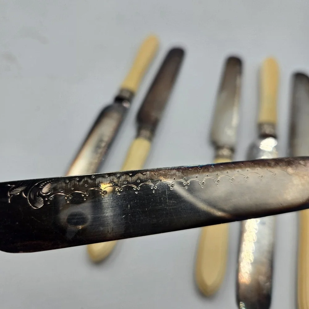 Vintage Dinner Butter‎ Knife Set EPNS Ornate Blade 6 Pc Rare Set Celluloid